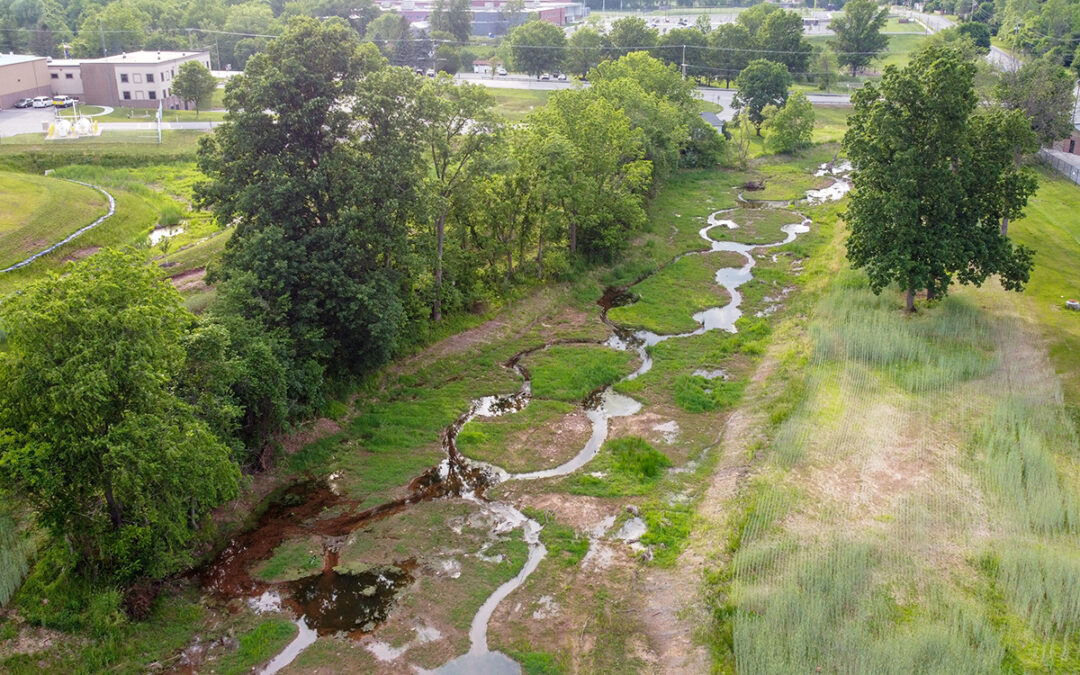 drone view of green wetland area with waterway running through it