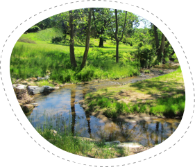 stream-restoration-1