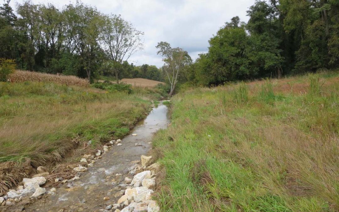 KEHM RUN DAM REMOVAL
