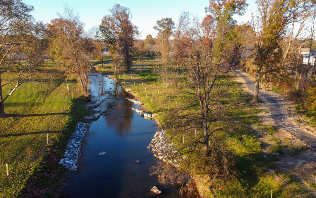 How Can Stream Restoration Improve the Health of Aquatic Ecosystems?